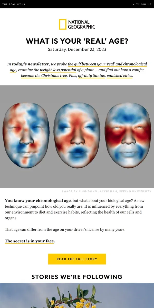 Email from National Geographic. How old are you, really? The answer is written on your face. Plus, ‘nature’s Ozempic’; how pines became Christmas trees