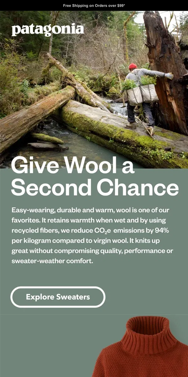 Email from Patagonia. Recycled wool sweaters you’ll live in