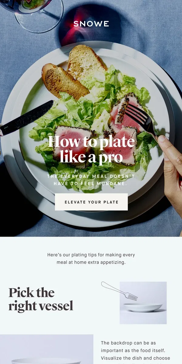 Email from Snowe. How to plate like a pro