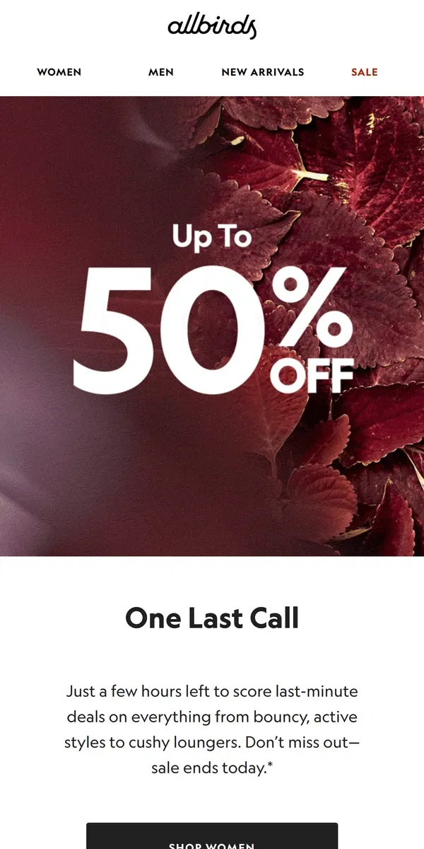 Email from Allbirds. 24 Hours Left To Save 50%