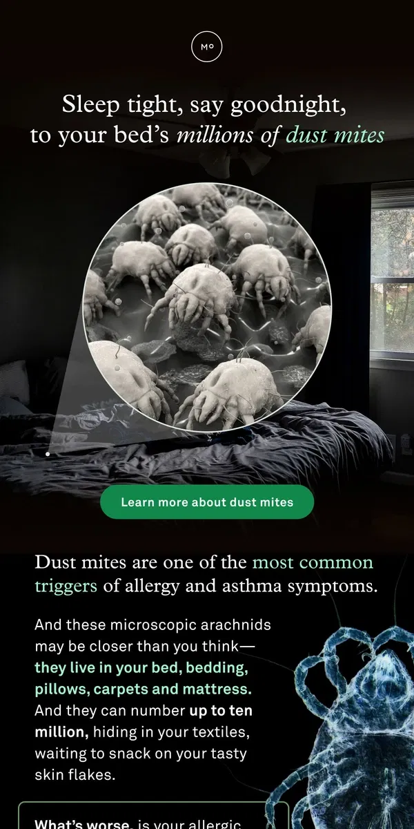 Email from Molekule. Dust mites: our least favorite bedfellows