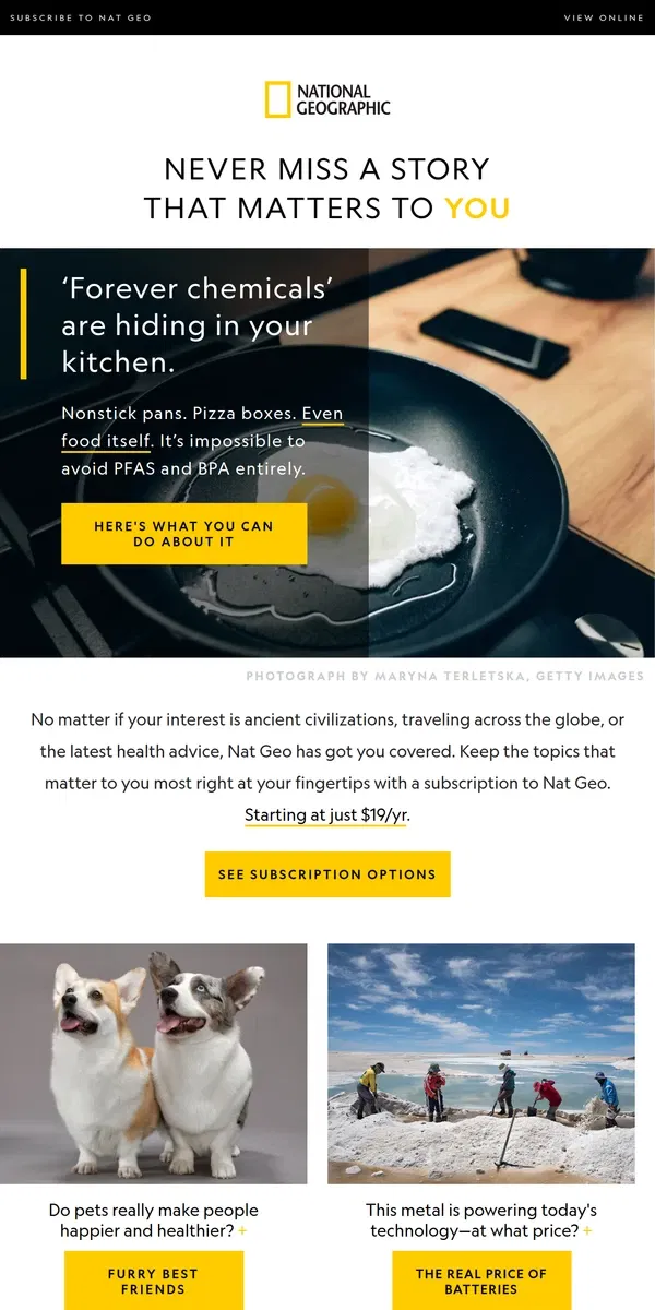 Email from National Geographic. Subscribe to Nat Geo for just $19/yr and never miss a story that matters to YOU.