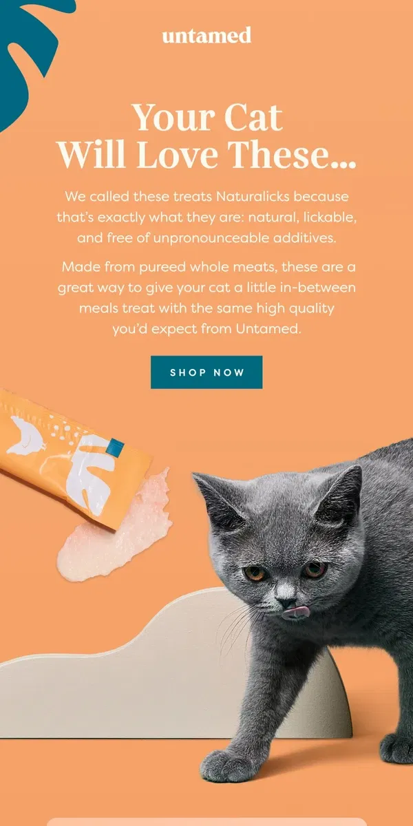 Email from Untamed Cat Food. Hey, your cat will love these…