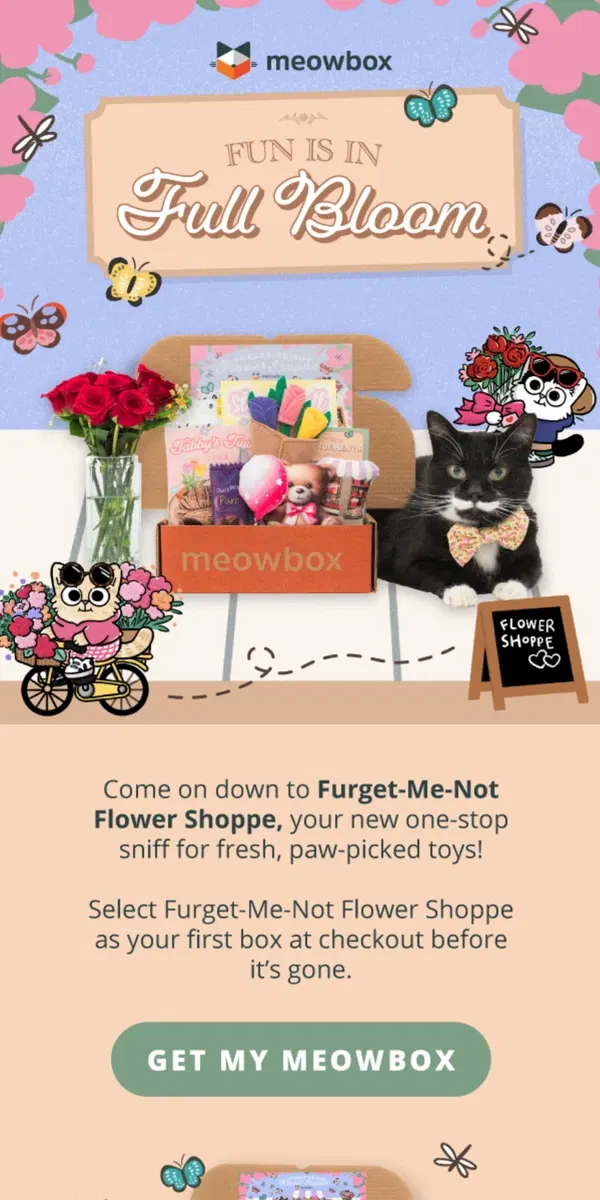 Email from meowbox. Furget-Me-Not Flower Shoppe is open for business 💐🚚