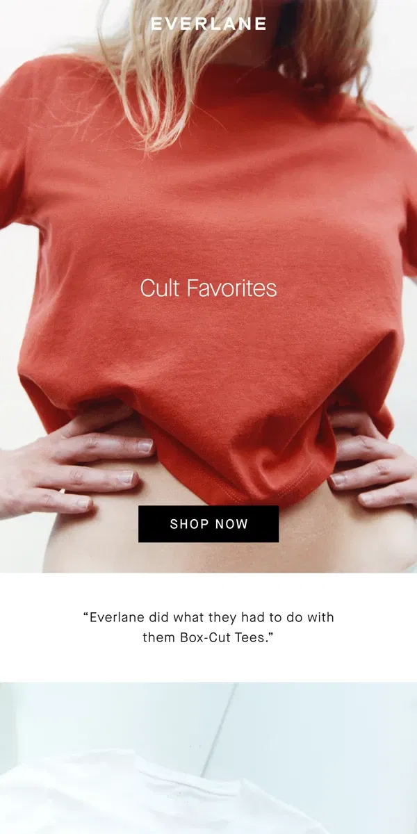 Email from Everlane. “The Perfect Tee”