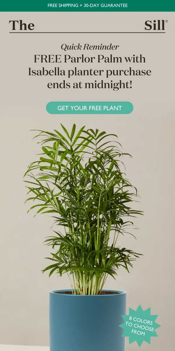 Email from The Sill. Final Hours to Claim Your Free Plant