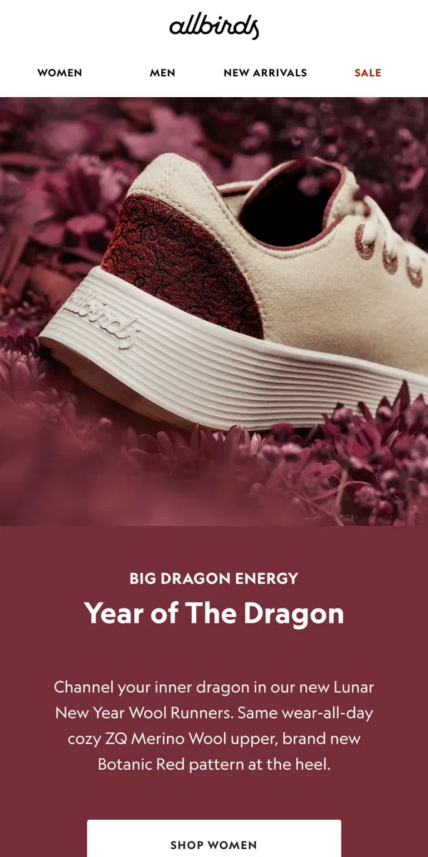 Email from Allbirds. Limited Drop: Lunar New Year 🐉