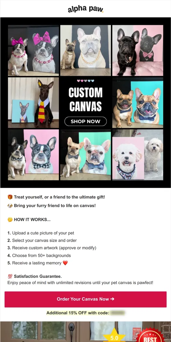 Email from Alpha Paw. Bring your dog to life on canvas 🐶