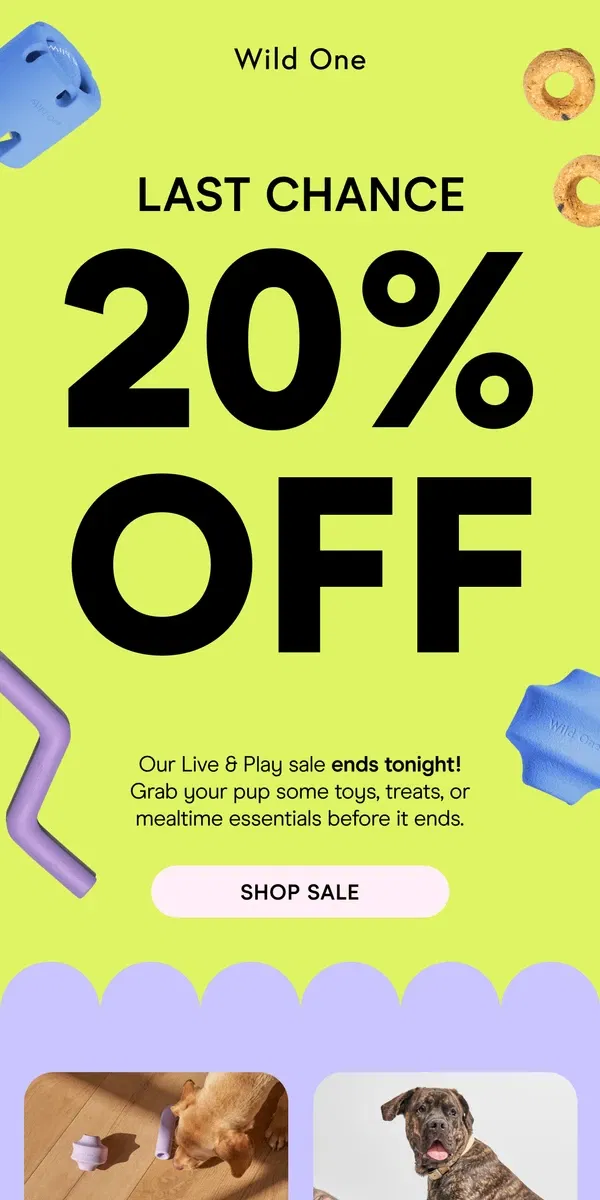 Email from Wild One. Last Chance: 20% Off Live & Play!