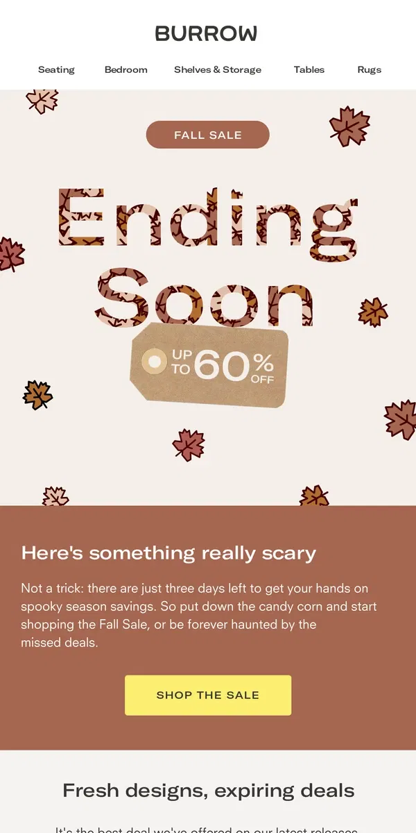 Email from Burrow. Hurry, Fall Sale is ending