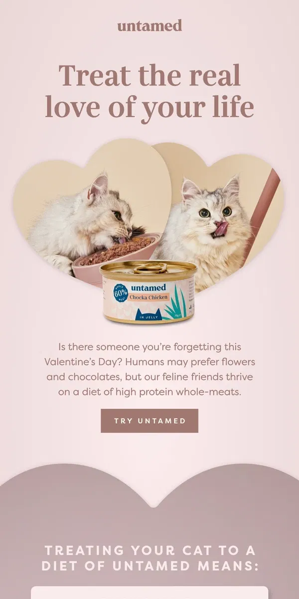 Email from Untamed Cat Food. Treat the love of your life 🐱