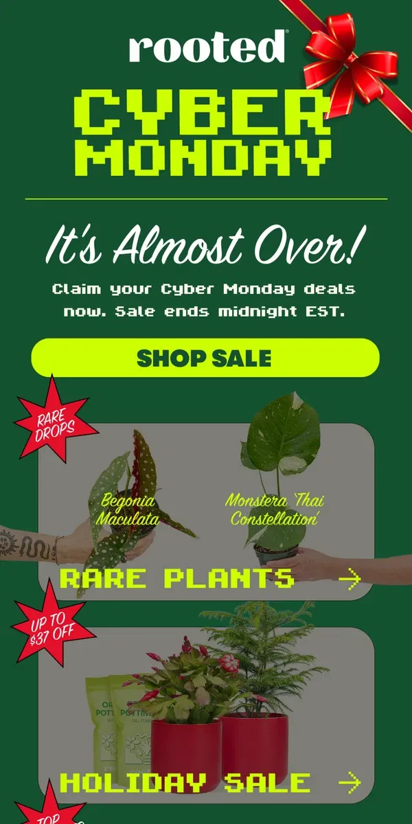 Email from Rooted. LAST CALL ⌛ Cyber Sale Is Almost Over