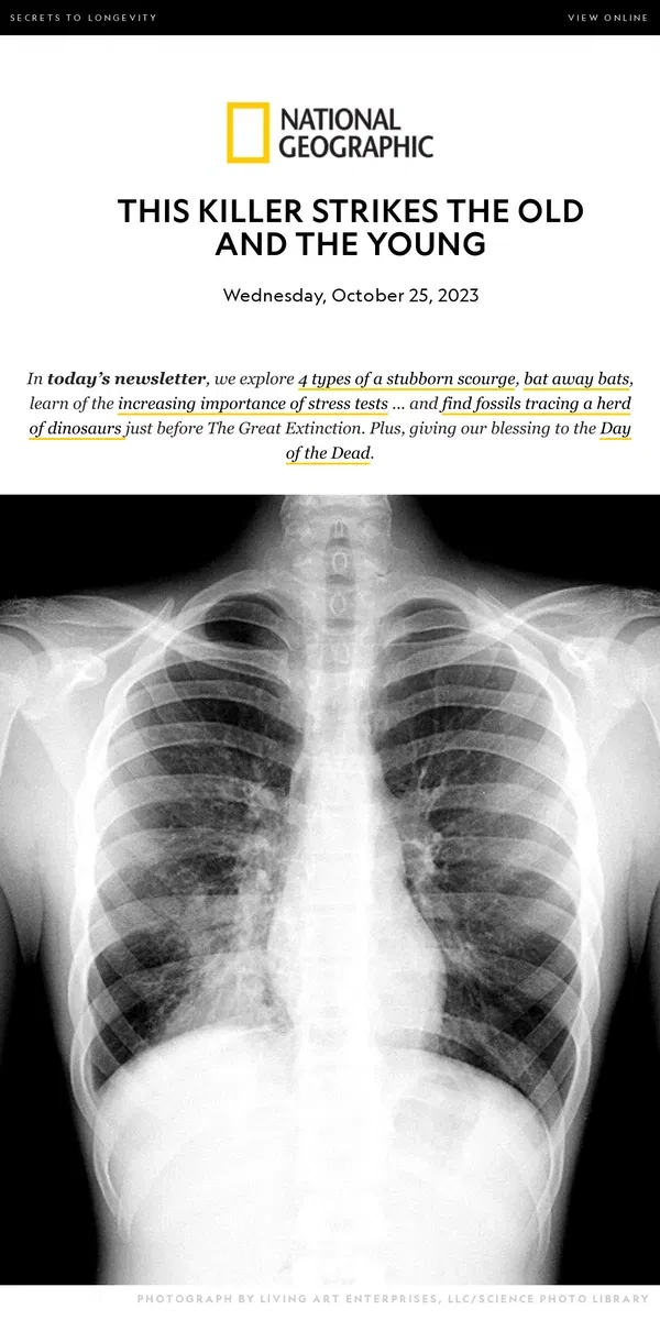 Email from National Geographic. Fighting the many-headed scourge of pneumonia; stress tests determine risks beyond heart condition; the last dino herd?