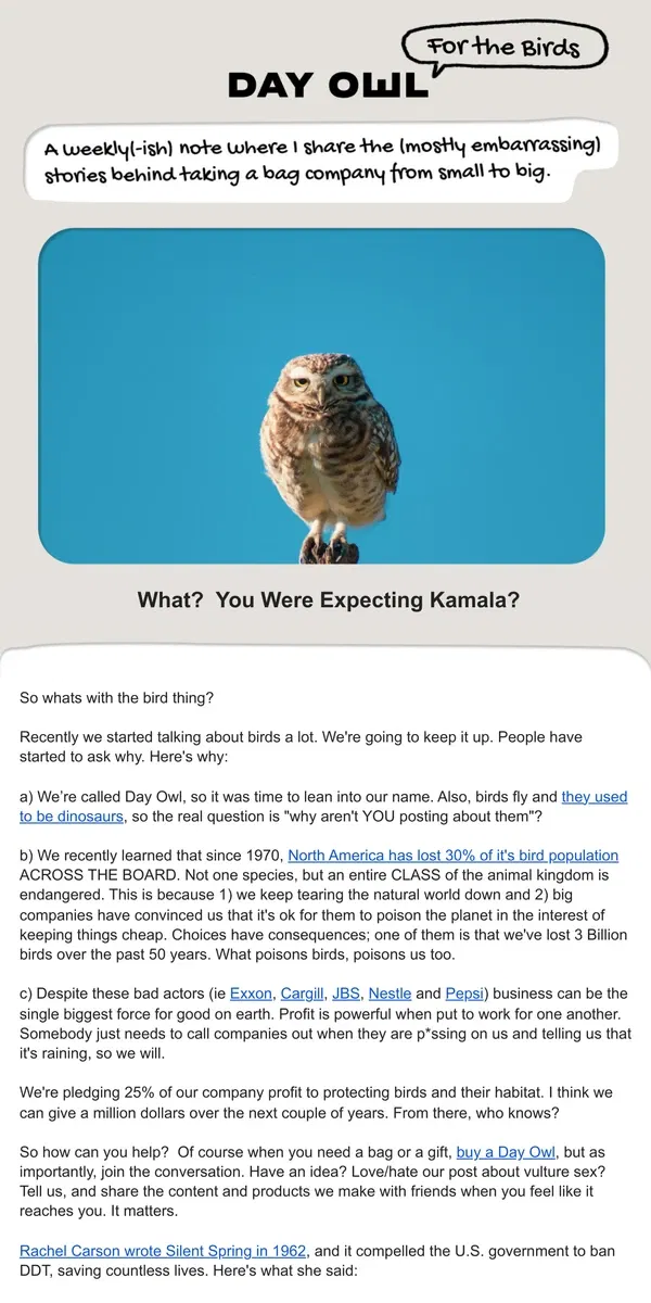 Email from Day Owl. Newsletter #1-Birds, not Bags 🦉🦤🦜