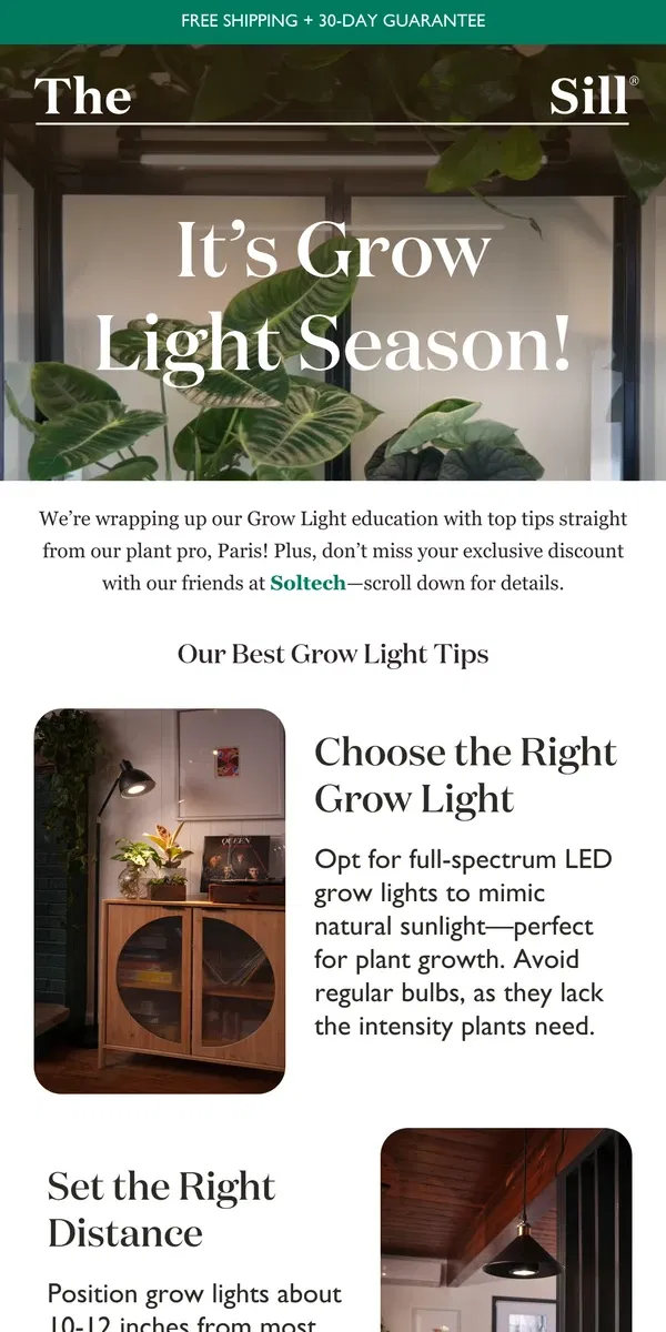 Email from The Sill. Get Lit: Paris Shares Her Grow Light Advice