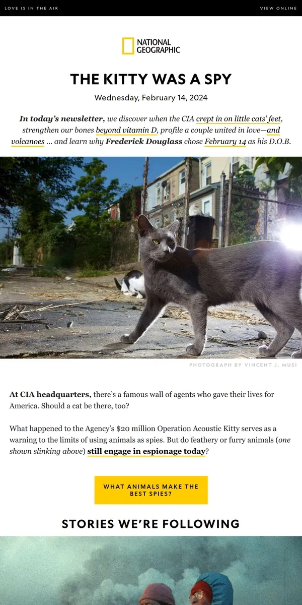 Email from National Geographic. Spy cat: America’s $20 million ‘Acoustic Kitty’. Plus, love and volcanoes; a mystery heart-shaped island