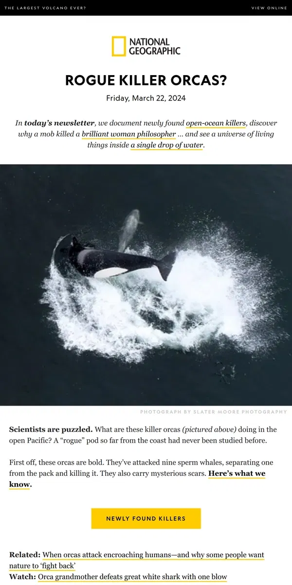 Email from National Geographic. ‘Rogue’ pod of killer orcas discovered; gigantic volcano found; the history of spring cleaning