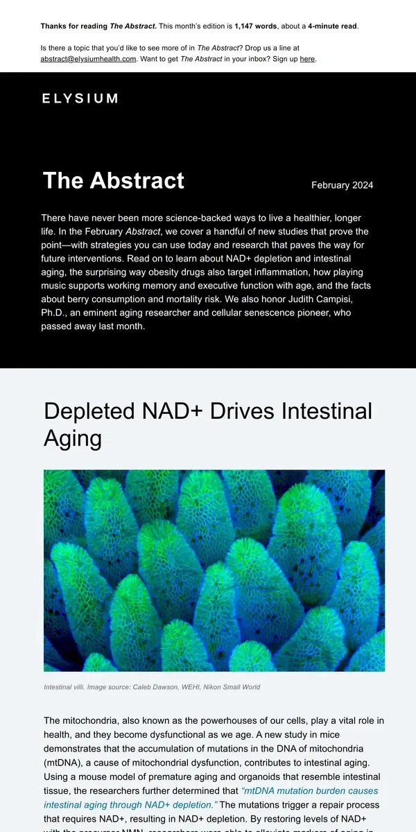 Email from Elysium Health. The Abstract: How NAD+ Impacts Intestinal Aging