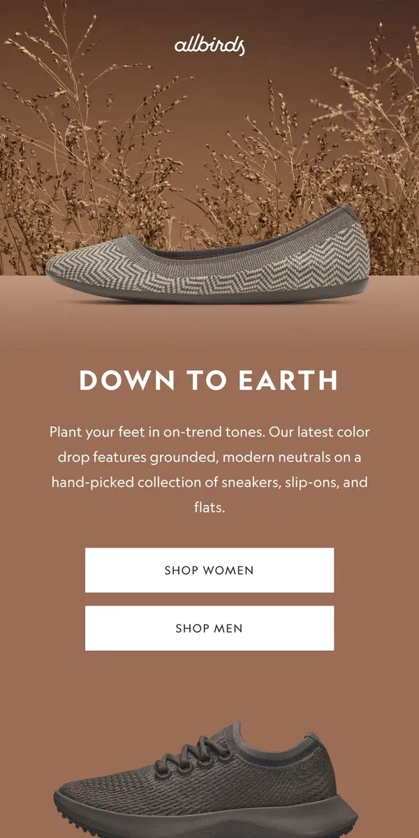 Email from Allbirds. Trend Report: Grounded Neutrals 🤎