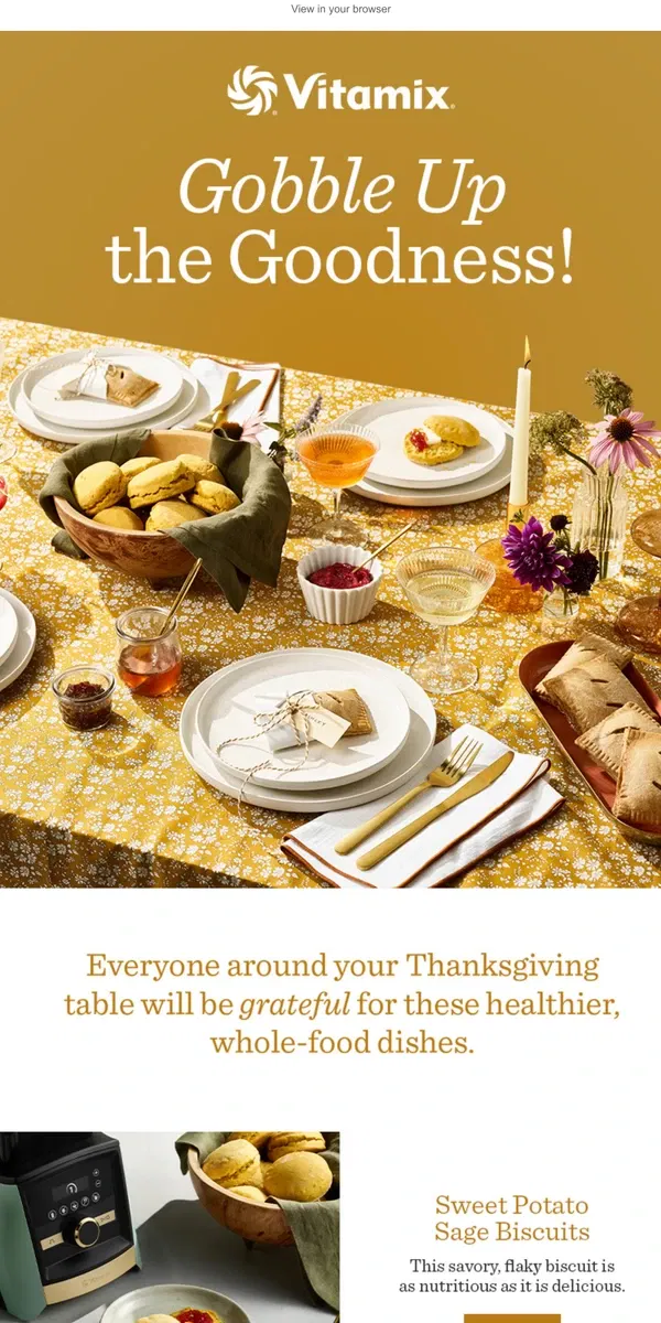 Email from Vitamix. A Healthier Spin on Your Favorite Thanksgiving Dishes