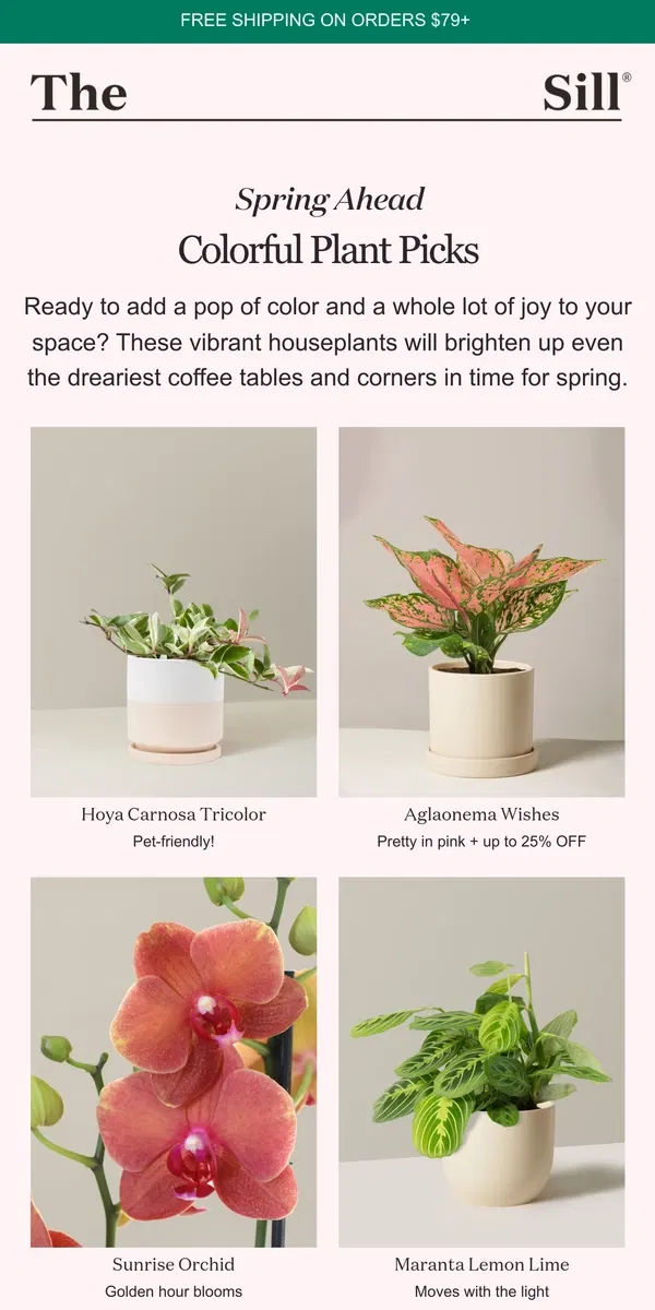 Email from The Sill. 8 Houseplants to Bring Spring In