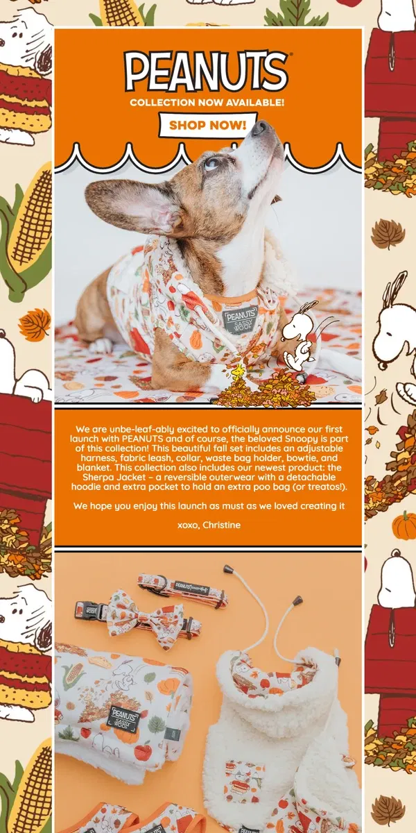 Email from Sassy Woof. Our first Peanuts™️ Collection 🍂