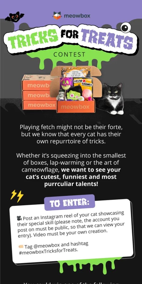 Email from meowbox. Post your best cat video and you could win a 6-month subscription!