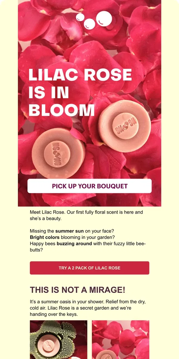 Email from Smoosh. NEW: Lilac Rose body bars