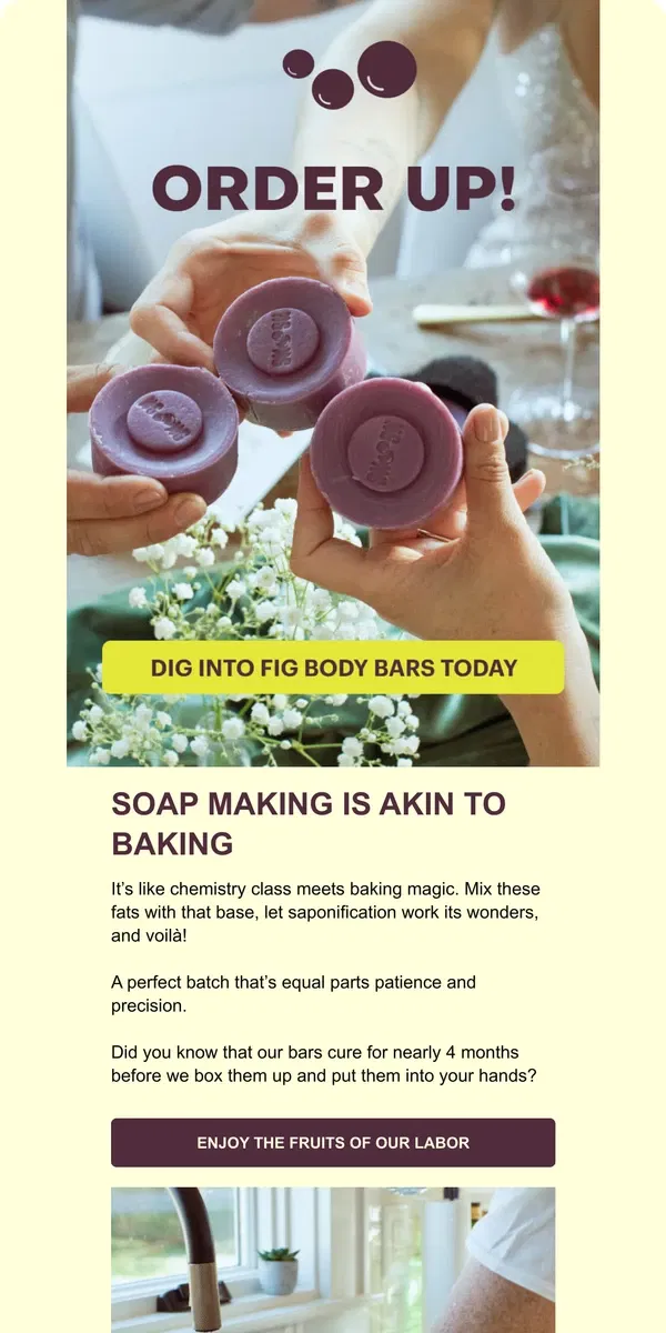 Email from Smoosh. 🚨 Fig Body Bars are Here!