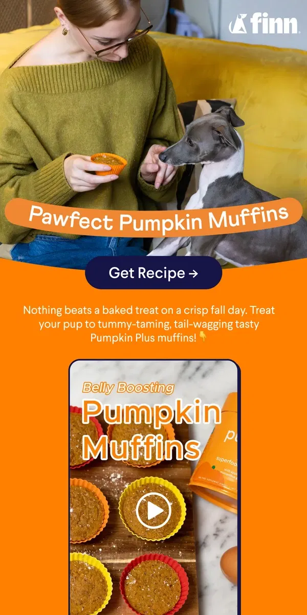 Email from Finn. Muffin Compares to This Treat… 🎃