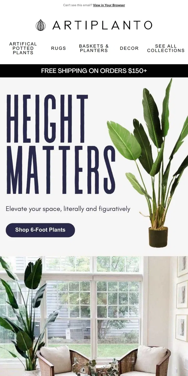 Email from Artiplanto. 🌿Reach New Heights With 6-Foot Plants 