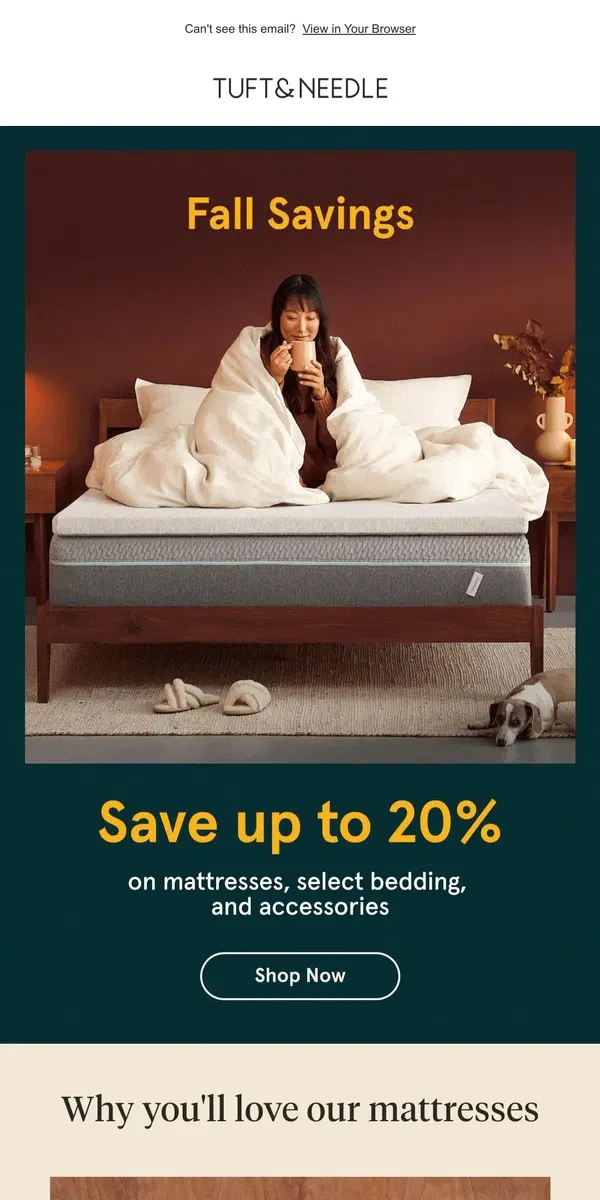 Email from Tuft & Needle. LAST CHANCE to save on mattresses