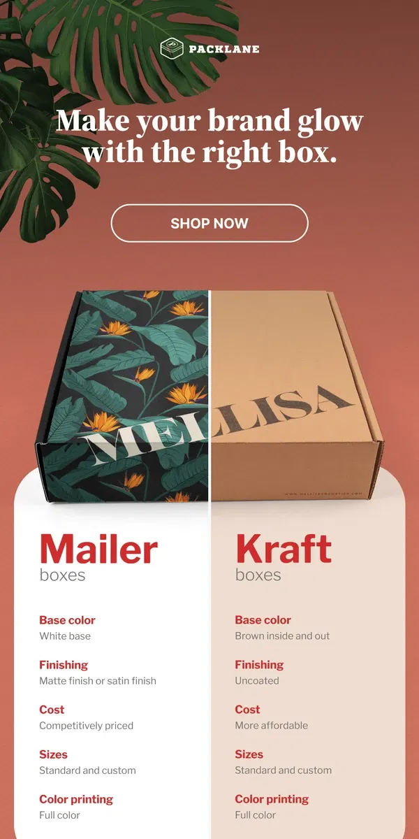 Email from Packlane. Mailer vs. Kraft: Which Box is Right for You?