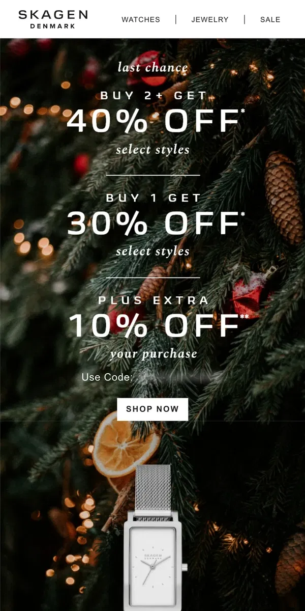 Email from Skagen. last day to shop black friday early