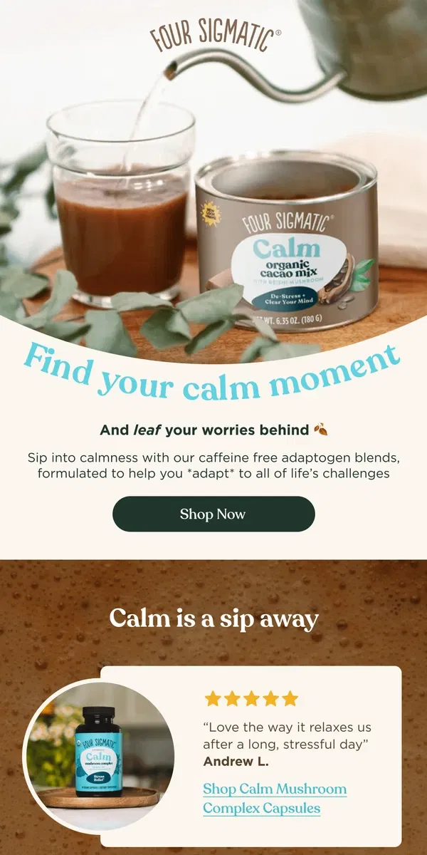 Email from Four Sigmatic. A Cup of Calm Awaits