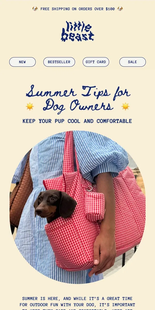 Email from Little Beast. Summer Tips for Dog Owners