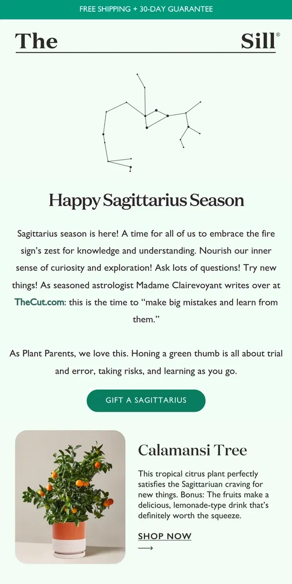 Email from The Sill. ✨ Embrace Sagittarius Season With Us ✨