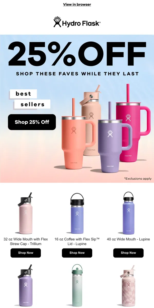 Email from Hydro Flask. 25% off bestsellers