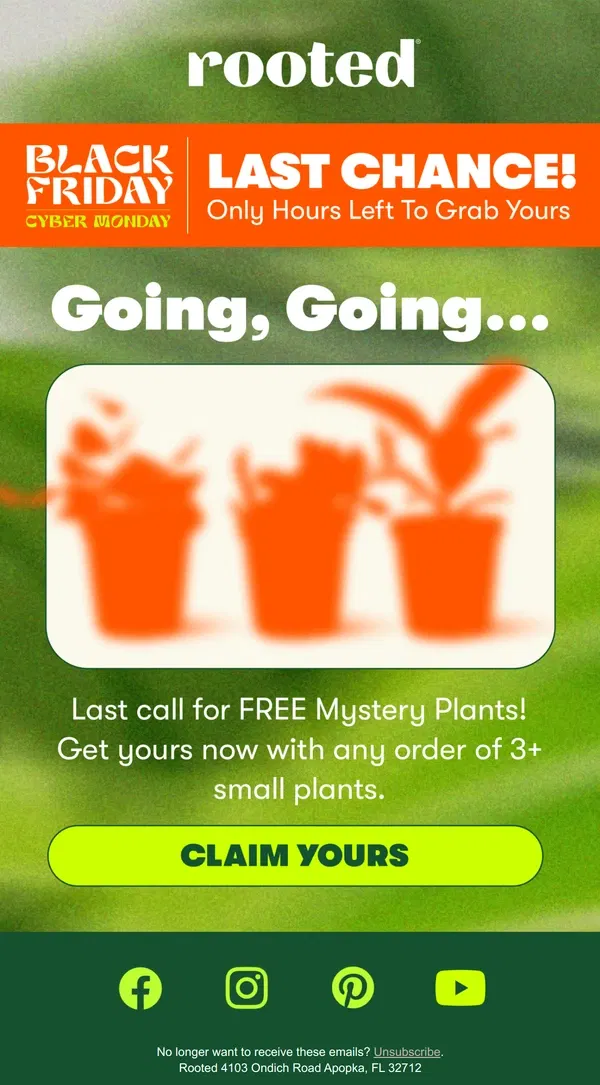 Email from Rooted. LAST CALL ⏰ Get Your FREE Mystery Plant