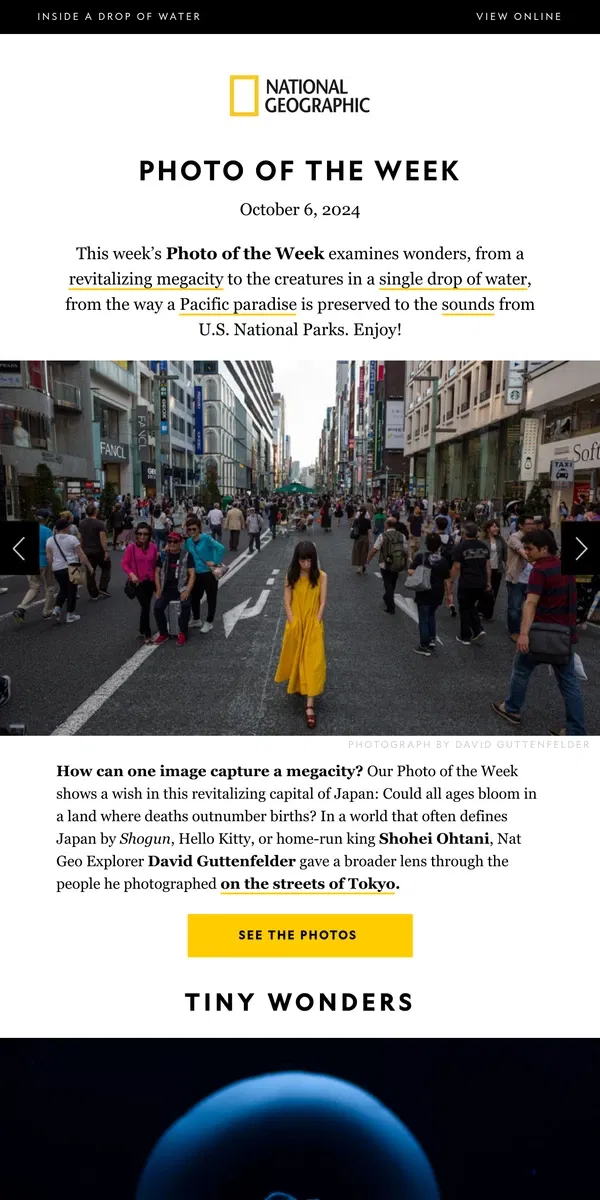 Email from National Geographic. PHOTO OF THE WEEK: Capturing a revitalizing Tokyo