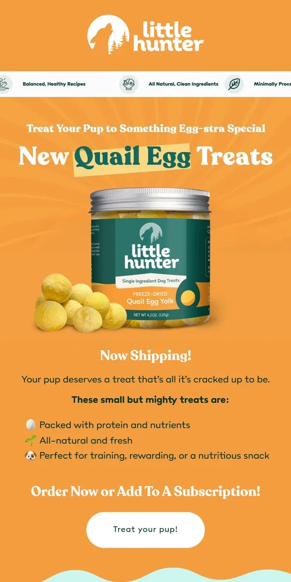 Email from Little Hunter. Your Pup’s New Favorite Treats Are Now Shipping🥚✨