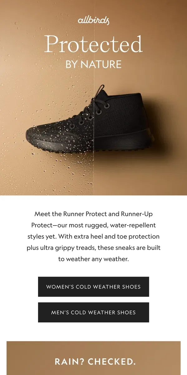 Email from Allbirds. Rain? Sleet? Snow? No Problem. ⛈️