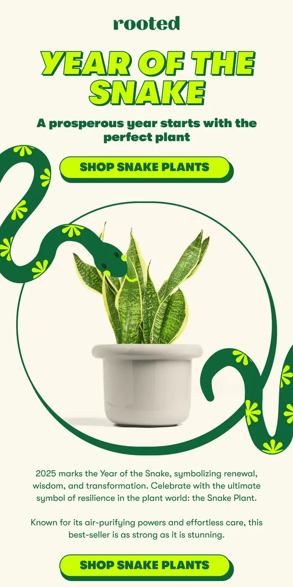 Email from Rooted. Celebrate the Year of the Snake 🐍🌿