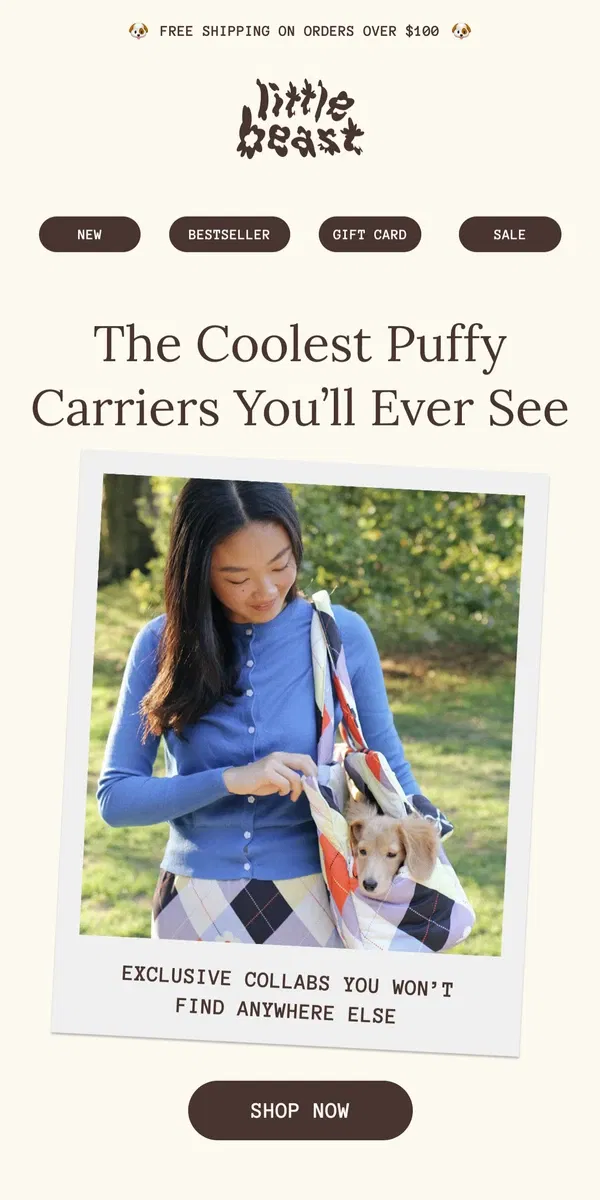 Email from Little Beast. Your Dog Wants To Be Carried in Little Beast