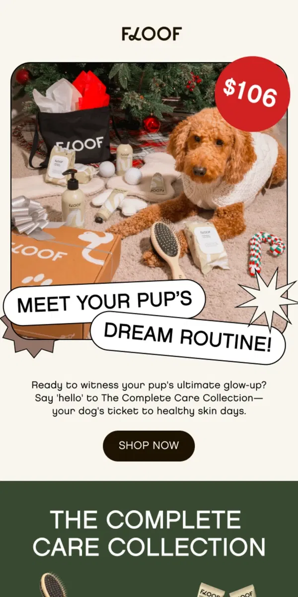 Email from Floof. Unlock Your Dog's Best Skin: Save $35 on the Complete Care Collection