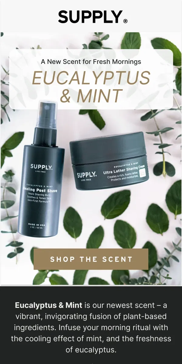 Email from Supply. All New: Eucalyptus & Mint Scent