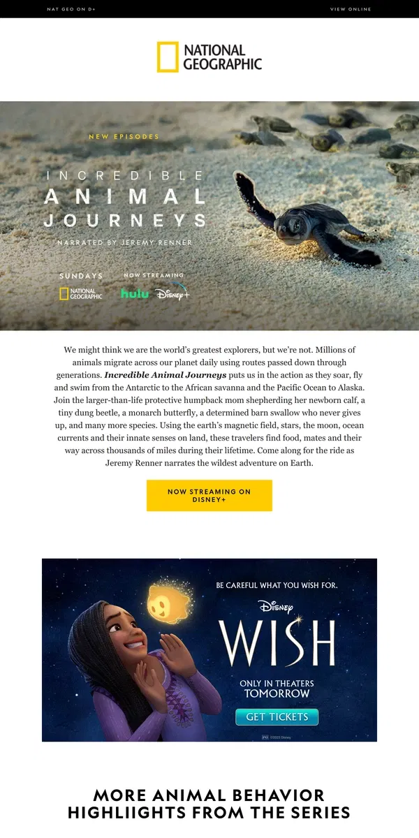 Email from National Geographic. Witness Incredible Animal Journeys narrated by Jeremy Renner