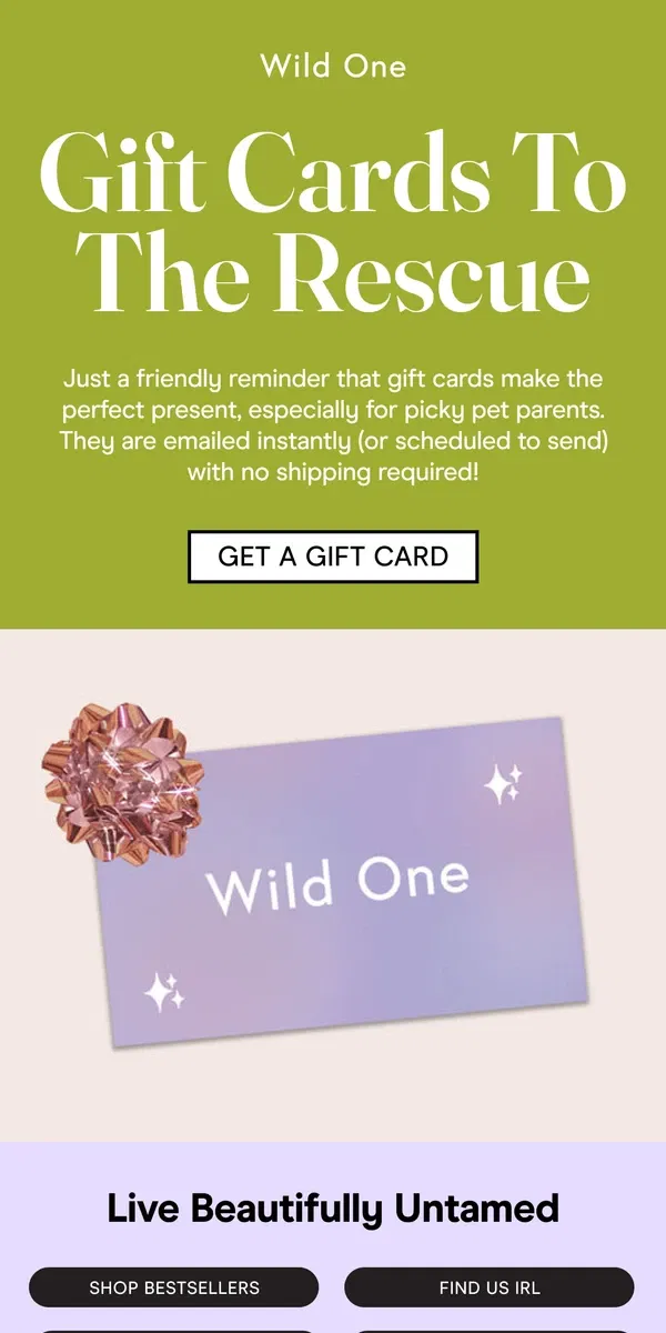 Email from Wild One. Last minute gifts for your pup?