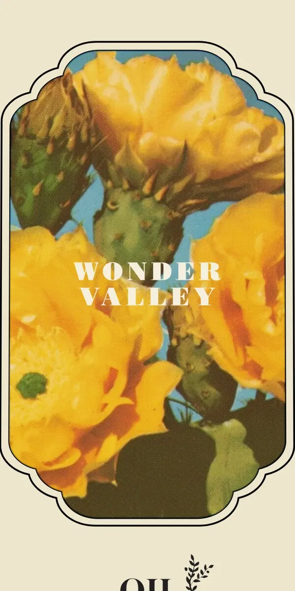 Email from Wonder Valley. Vernal Exaltation