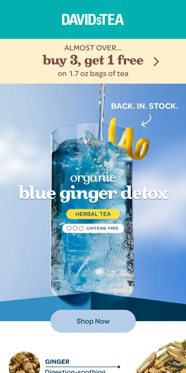 Email from DAVIDsTEA. Back! The ULTIMATE detox blend 💙